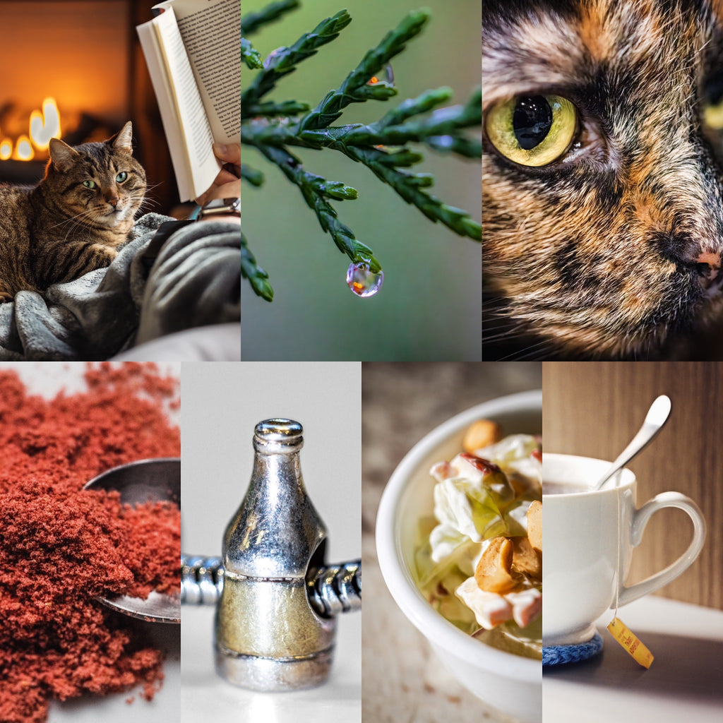 Week 1 Recap - Getting to know my macro lens